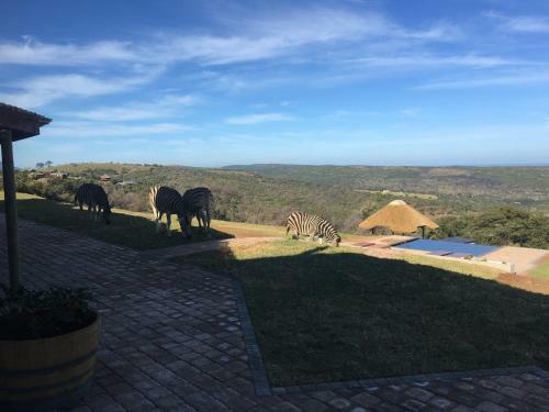 Agroturismo Jbay Zebra Lodge