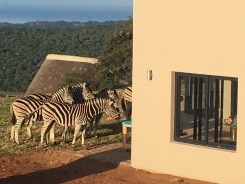 Agroturismo Jbay Zebra Lodge