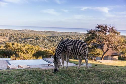 Agroturismo Jbay Zebra Lodge