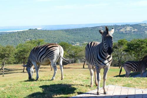Agroturismo Jbay Zebra Lodge
