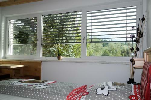 Apartamento Tischlm�hle Appartements & Mehr