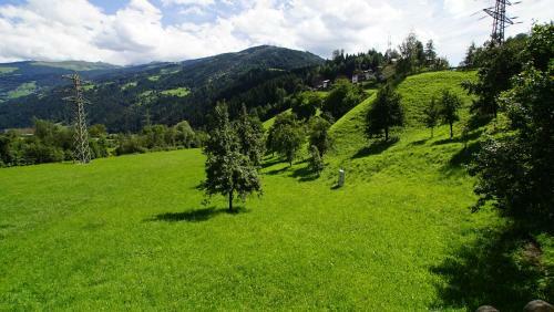 Haus Andrea Schiestl