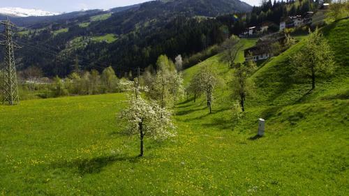 Haus Andrea Schiestl