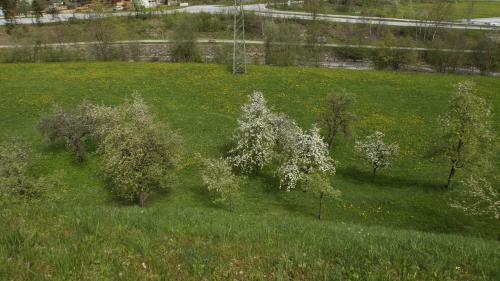 Haus Andrea Schiestl