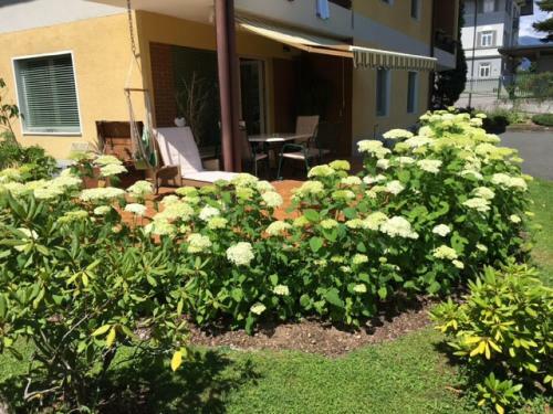 Apartamento Ferienwohnung Fritz