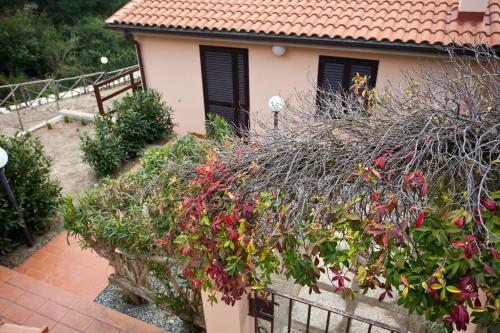 Apartamento Appartamenti Norsi