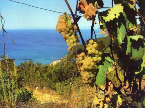 Agroturismo La Foce Del Prato