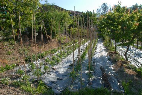 Agroturismo La Foce Del Prato