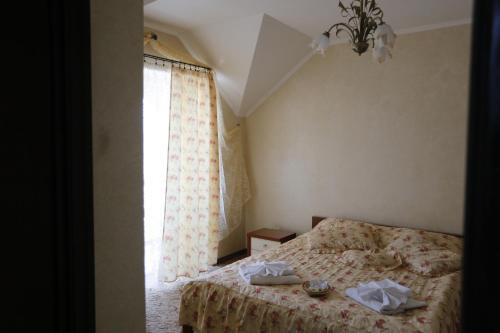 Hotel Tsvit Paporoti