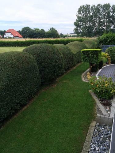 Apartamento Ferienwohnungen Arkonablick