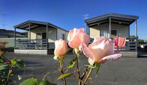 Apollo Bay Holiday Park