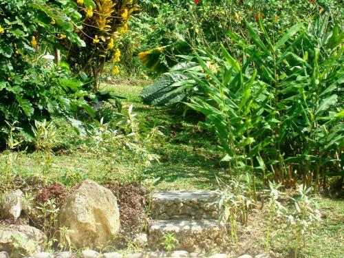 Les Cottages De Bellevue Ecolodge