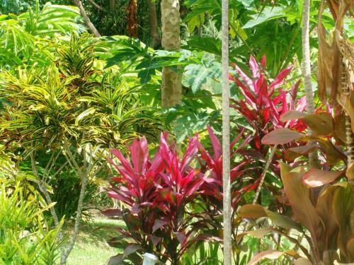 Les Cottages De Bellevue Ecolodge