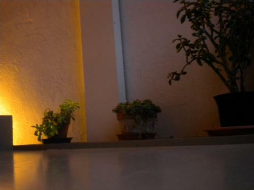 Bed & Breakfast La Corte Del Noce