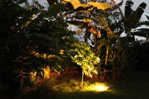 Costa Rica Holiday Home By Beach And Rain Forest