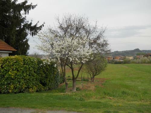 Bed And Breakfast Il Garoch