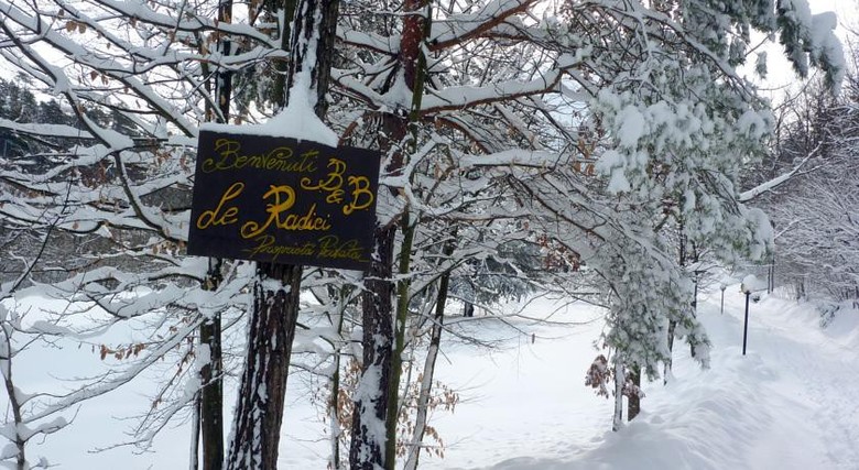 Bed & Breakfast Le Radici