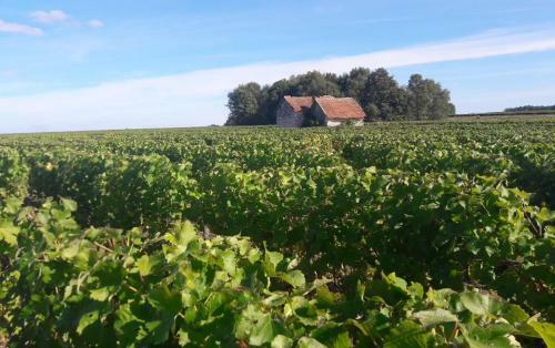 Bed & Breakfast La Ferme De Couffy
