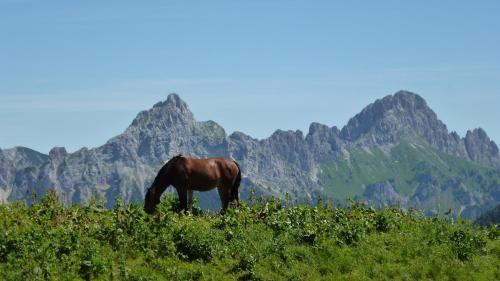 Almdorf Tirol