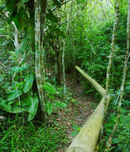 Lodge Vila Gaia Chal�s