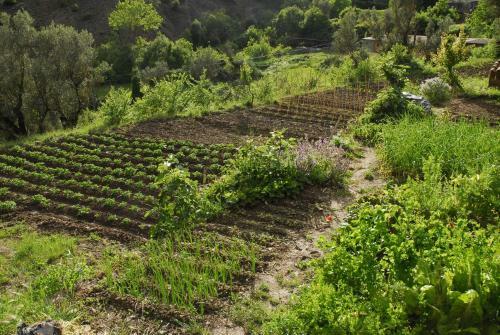 Agroturismo O Chardinet D'a Formiga