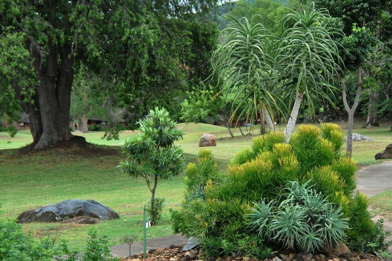 Kruger Park Lodge Unit No. 615