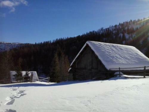 Apartamento Ferienhaus Leeb