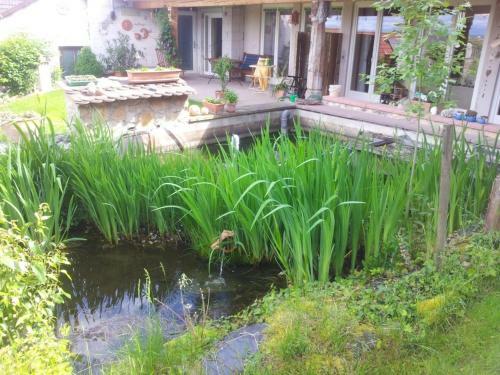 Apartamento Haus Burgblick