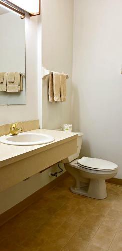 Hotel Zinck's Inn Berlin