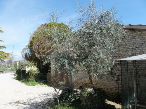 Agroturismo Cascina Antonini