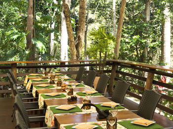 Hotel Cedar Park Rainforest Resort