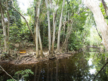 Hotel Cedar Park Rainforest Resort