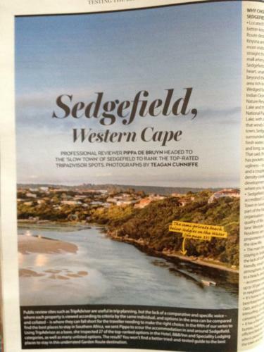 Sedgies On The Water