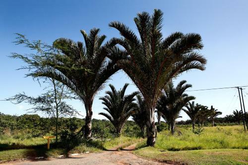 Villa Ongoye View Residence