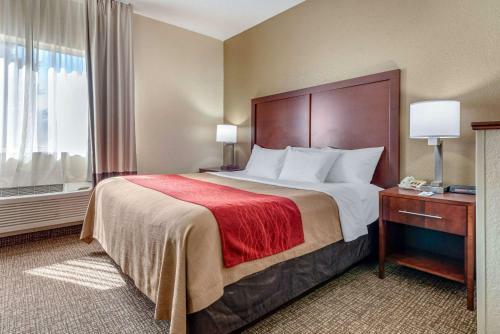 Hotel Comfort Inn Fremont