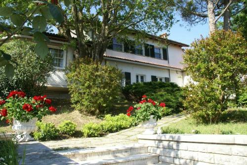 Bed & Breakfast Villa La Paleotta