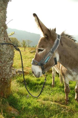 Bed & Breakfast L� Haut & Spa
