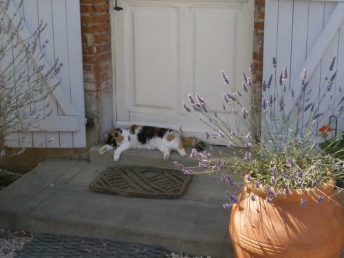 Hostal La Ferme Montplaisir