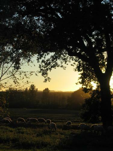 Hostal La Ferme Montplaisir