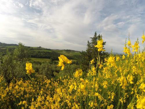 Apartamento La Rocca Di Montalbino