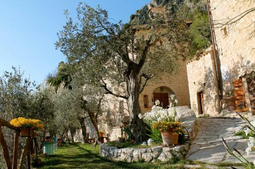 Agroturismo Guesthouse Runcini