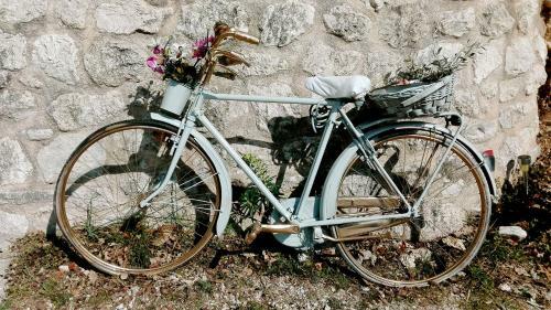 Agroturismo Guesthouse Runcini