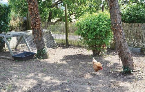Holiday Home Vineyard Cottage