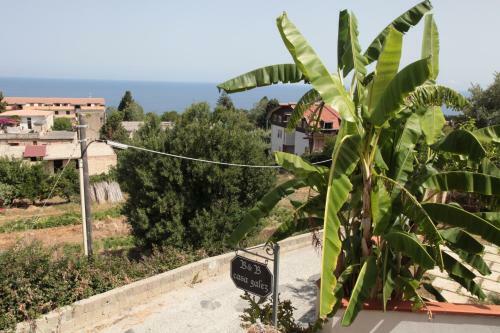 Bed And Breakfast Galez