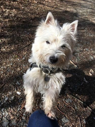 G�te La Passerelle � Mouzaive