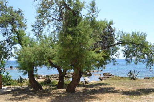 Apartamento Fronte Mare Capo San Marco