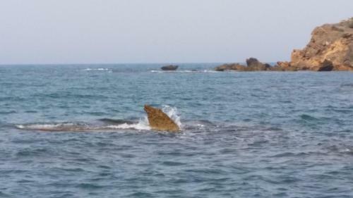 Apartamento Fronte Mare Capo San Marco
