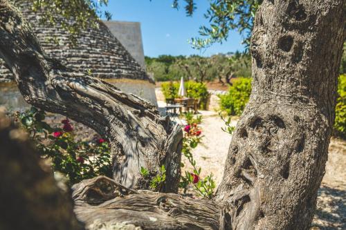 Villa Sardedda Trulli Suite