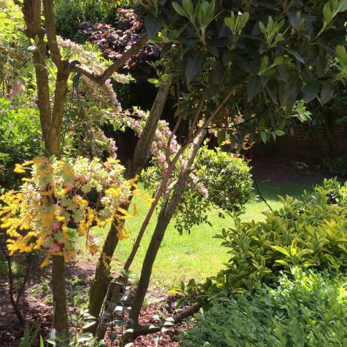 Bed & Breakfast La Parenthese Du Rond Royal