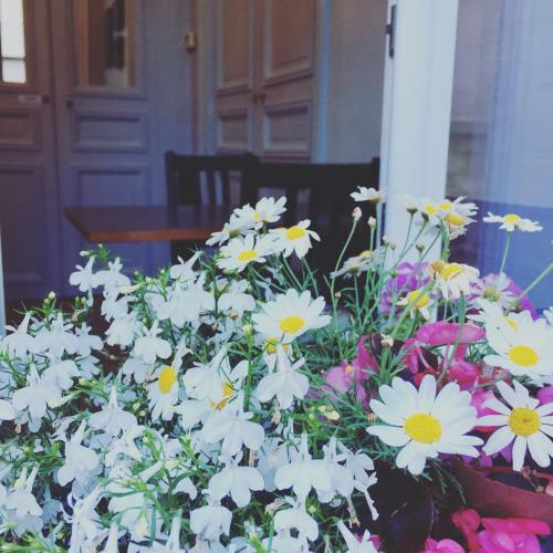 Bed & Breakfast La Parenthese Du Rond Royal